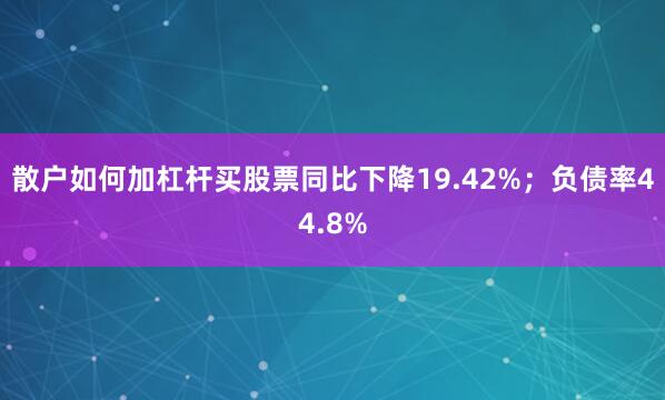散户如何加杠杆买股票同比下降19.42%；负债率44.8%