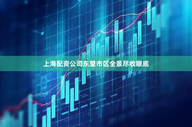 上海配资公司东望市区全景尽收眼底