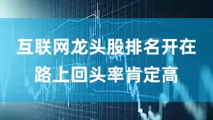 互联网龙头股排名开在路上回头率肯定高